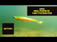 Laden und Abspielen von Videos im Galerie-Viewer, SPRO Iris Pop-Eye Softlure 17cm 30g Perch
