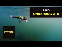 Laden und Abspielen von Videos im Galerie-Viewer, Spro Iris Udog Jtd  Perch 8cm 18g
