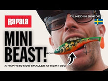 Laden und Abspielen von Videos im Galerie-Viewer, Rapala X-Rap Peto 14 cm 39 g Live Roach
