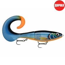 Lade das Bild in den Galerie-Viewer, Rapala X-Rap Otus 17cm 40g Blue Ghost
