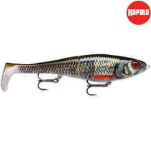 Lade das Bild in den Galerie-Viewer, Rapala X-Rap Peto 14 cm 39 g Live Roach
