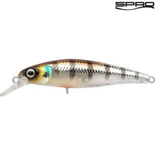 Lade das Bild in den Galerie-Viewer, SPRO Ikiru Silent Jerk Buzzer 9,5cm 15g
