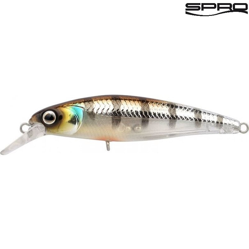 SPRO Ikiru Silent Jerk Buzzer 9,5cm 15g