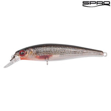 Lade das Bild in den Galerie-Viewer, SPRO Ikiru Silent Jerk  Roach 6.5CM SLS
