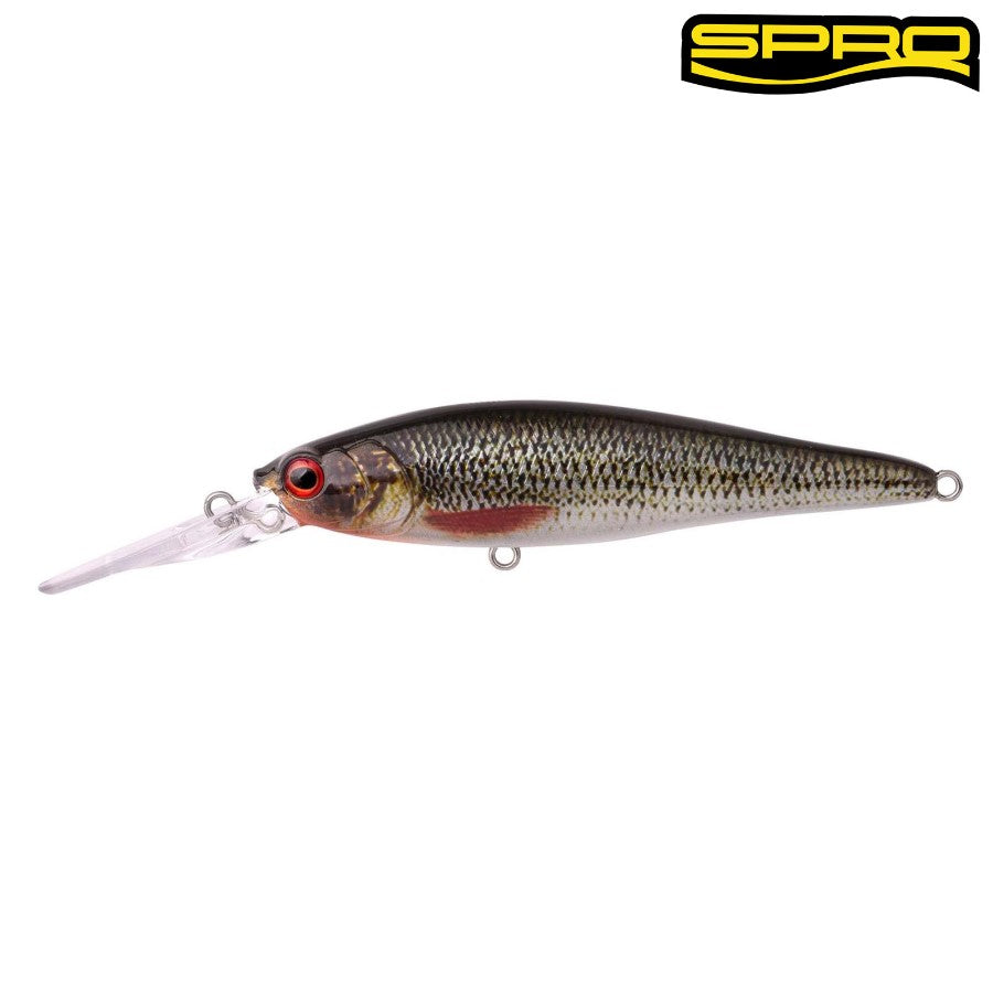 Spro Ikiru Twitch Roach 10cm 18G Sus LL