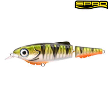 Lade das Bild in den Galerie-Viewer, SPRO Ripple Profighter14cm 41g Perch
